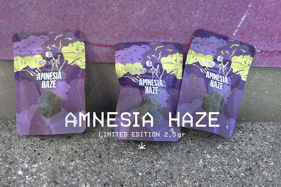 blog lanzamiento amnesia-haze
